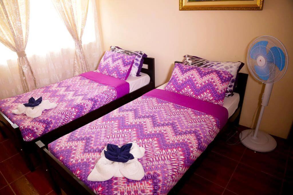 Florabells Iraya Guest House - Batanes Basco Exterior photo